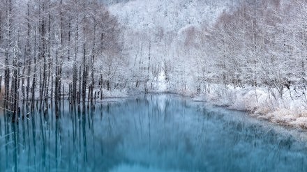 冬天來了，北海道青池變銀色夢幻世界- DCFever.com