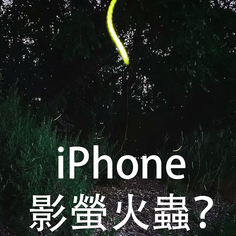 螢火蟲點樣影 用iphone影都得吖 Dcfever Com